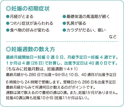 妊娠の初期症状、妊娠週数の数え方