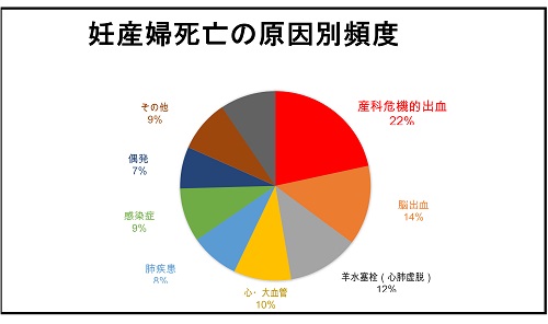 妊産婦死亡の原因別頻度を表したグラフ