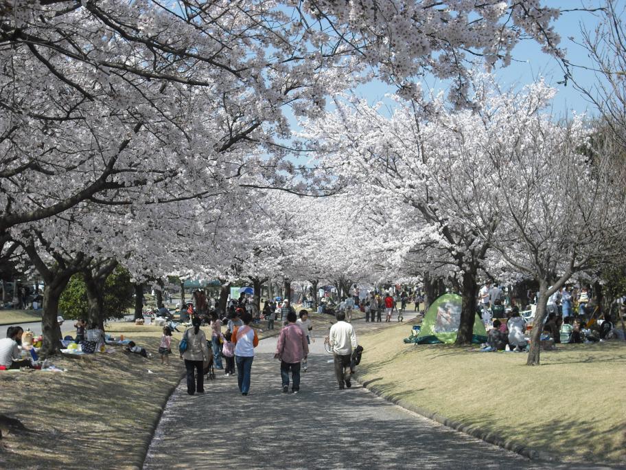 常願寺川公園