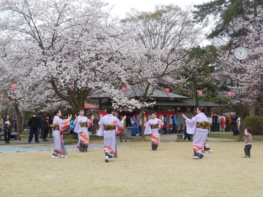 高岡桜まつり