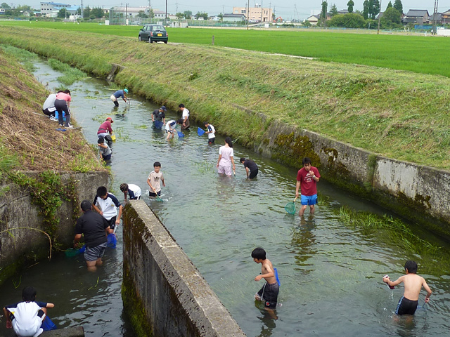 射水市立大門小学校の写真