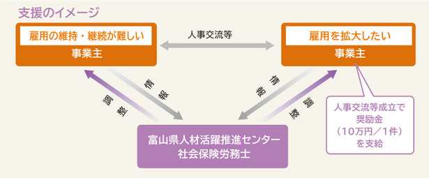 人事交流制度のイメージ