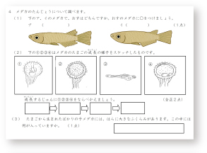 家庭学習の参考画像