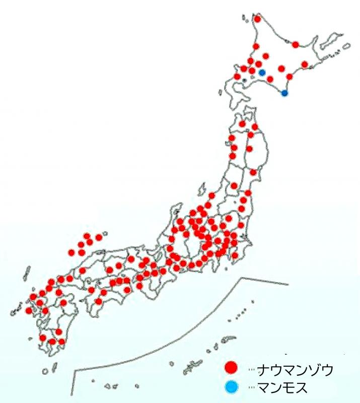 ゾウの化石が出たところ