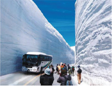 雪の大谷の写真