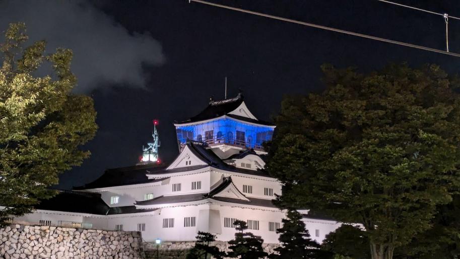 R60923toyama_castle