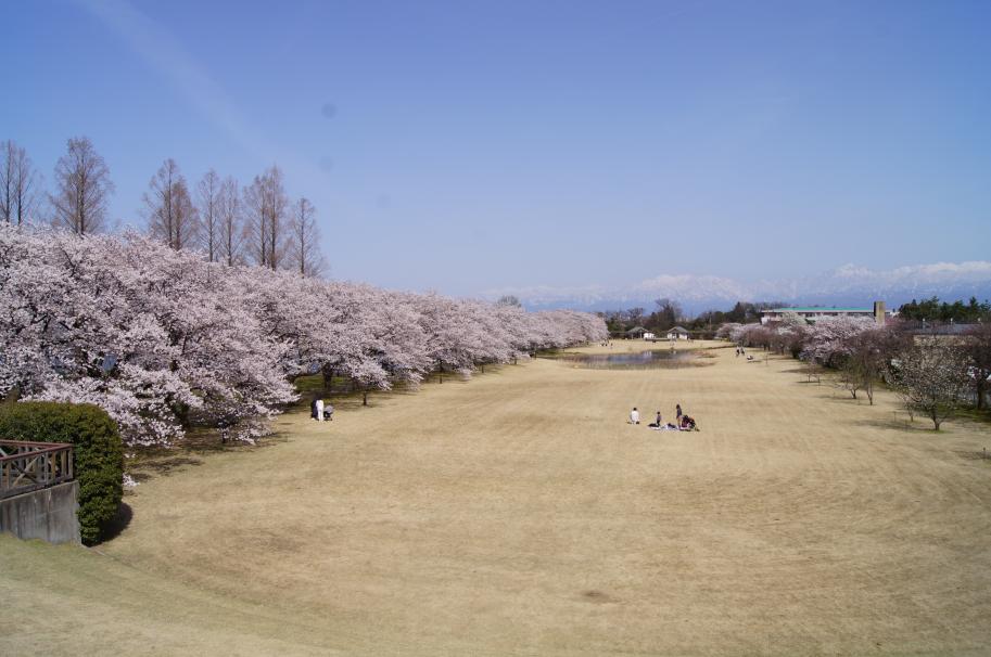 中央植物園