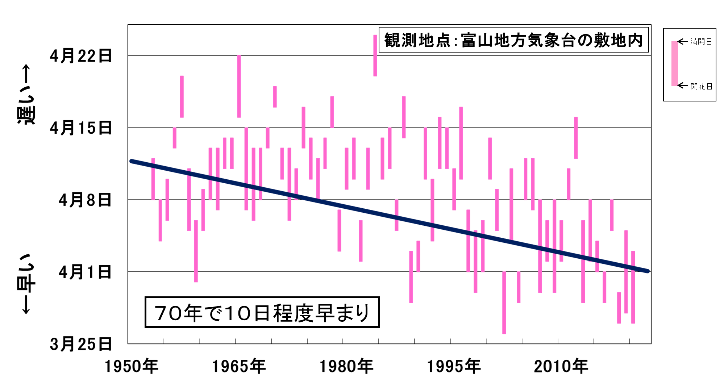 cherry_toyama