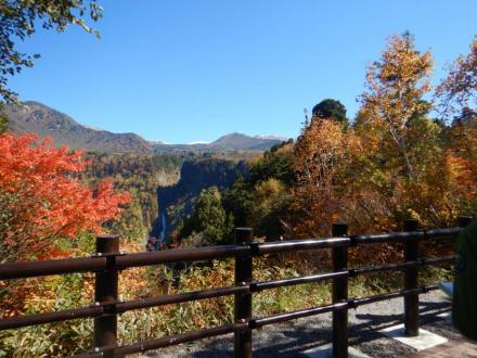 紅葉時期の大観台