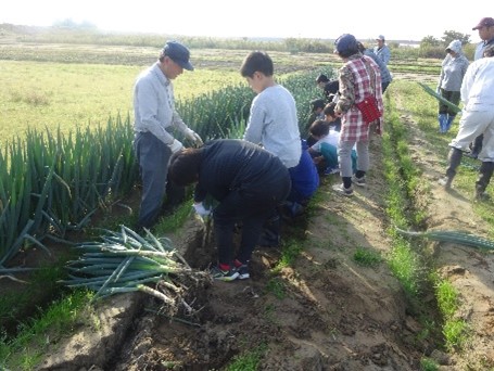 射水市「農業体験（ねぎ）」