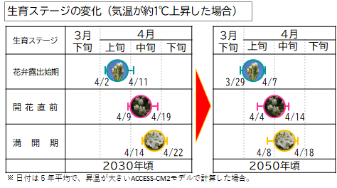 図生育ステージの変化