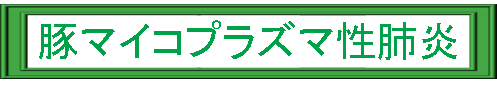 豚マイコプラズマ性肺炎