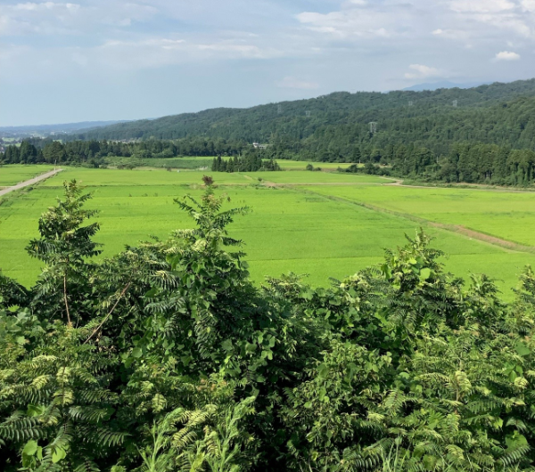 谷口集学校からの風景