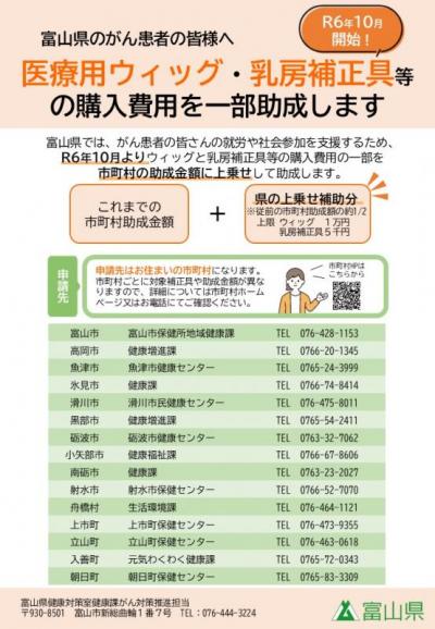 富山県アピアランスケア支援事業費補助金チラシ