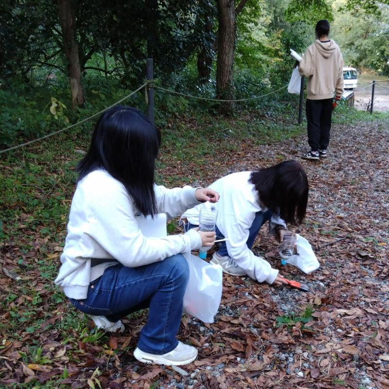 水がきれいになる実験
