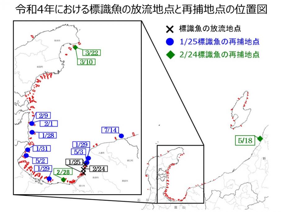 再捕結果