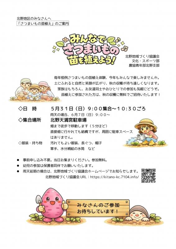 北野さつまいもの苗植え
