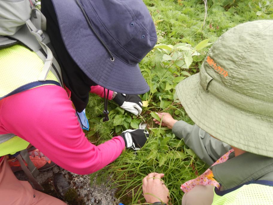 R6山岳環境保全ボランティア