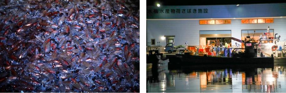 水橋ツアー(イメージ)