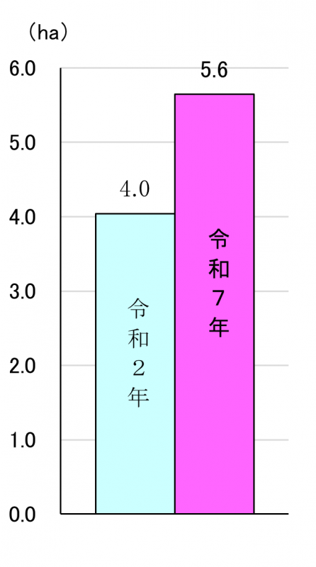 図4_1keieiatarinokeieikochimenseki