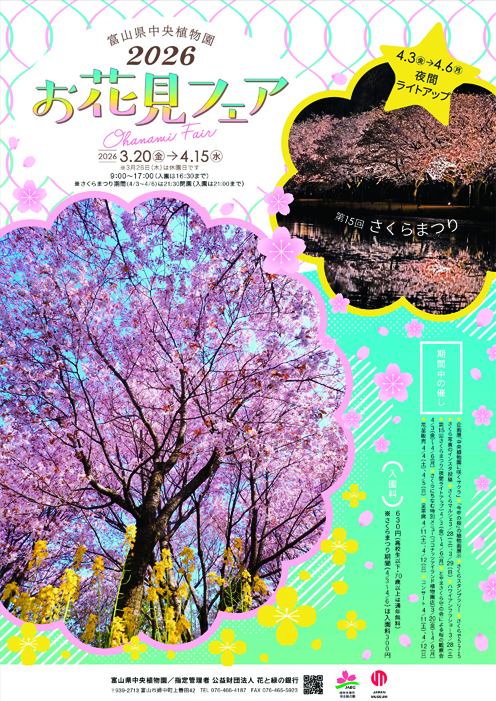 お花見フェア