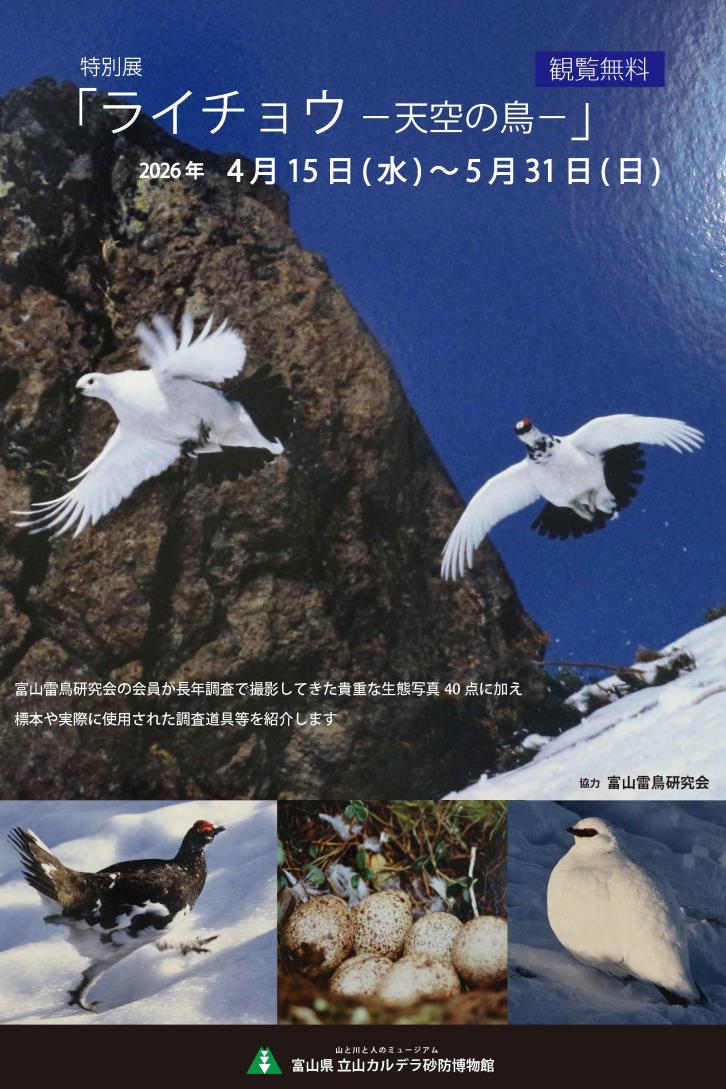 特別展「ライチョウー天空の鳥ー」