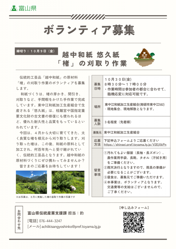 楮