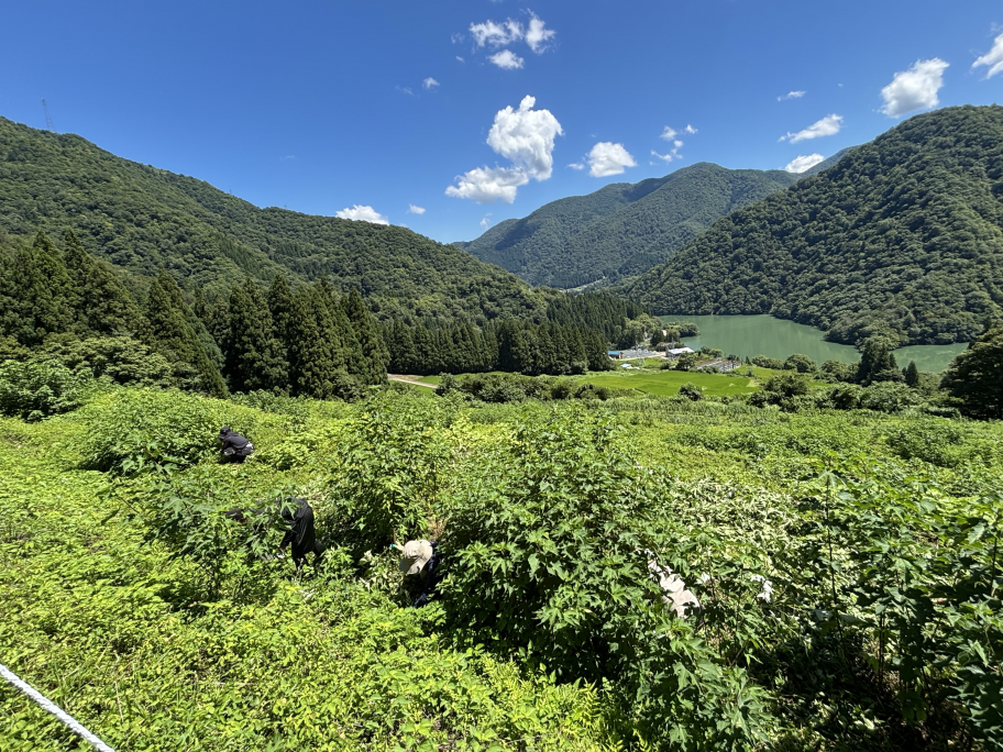 作業風景