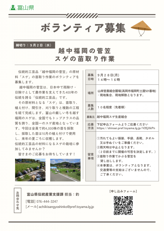 スゲチラシ