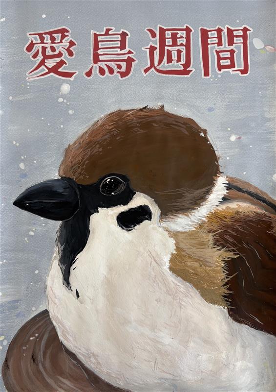 自然保護協会4