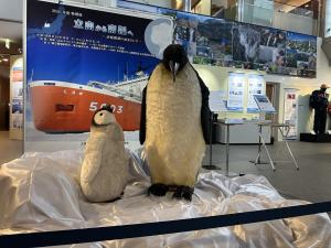 202610pengin