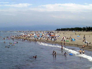 海水浴で賑わう岩瀬浜の写真