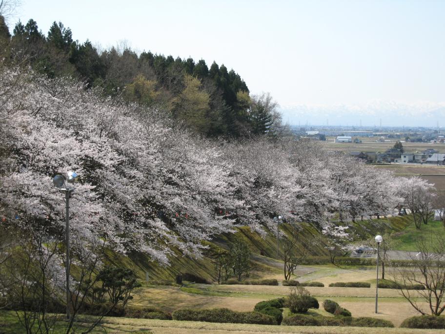 水道つつじ公園