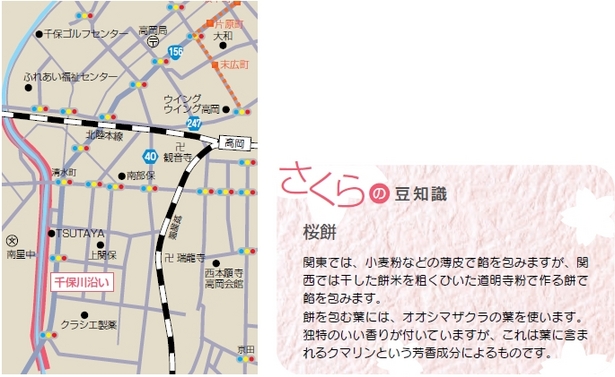 （左）アクセス地図（右）さくらの豆知識「桜餅」