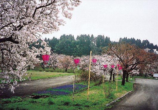 上和田キャンプ場