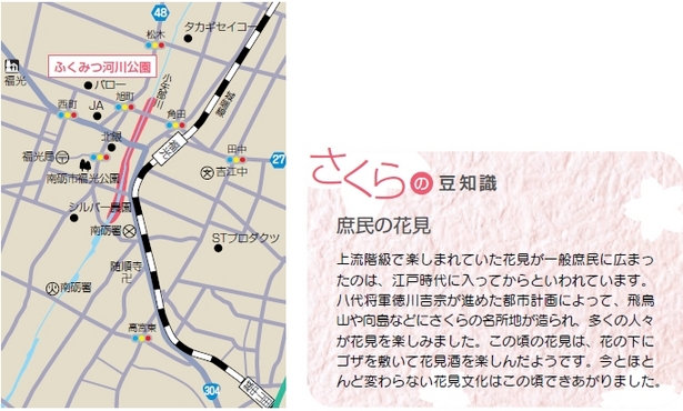 （左）アクセス地図（右）さくらの豆知識「庶民の花見」