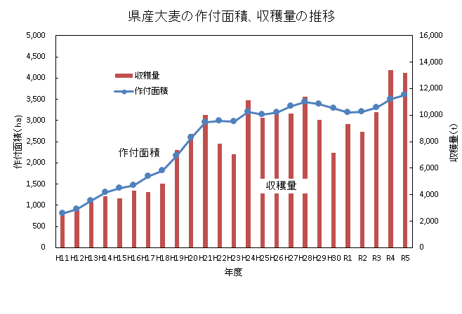 大麦面積の推移