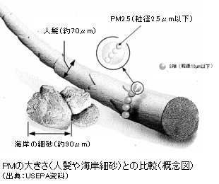 PM2.5の大きさ比較図