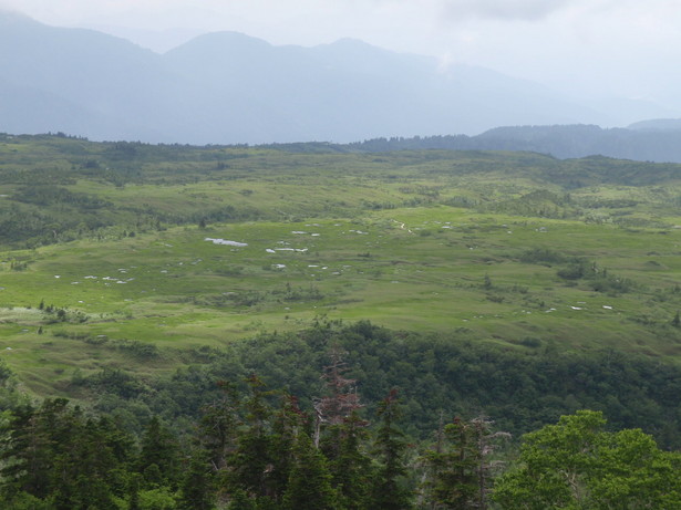 立山弥陀ヶ原・大日平